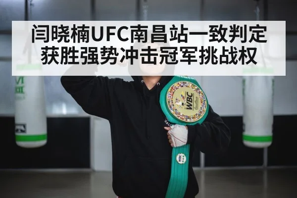 UFC championship belt